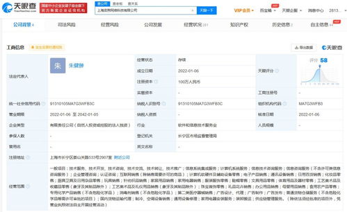 信息系统集成服务 构建企业智能中枢的关键力量